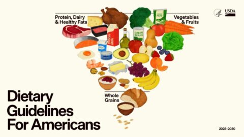 dietary guidelines usa