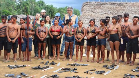 embrapa tecnologia alimentaçao yanomami
