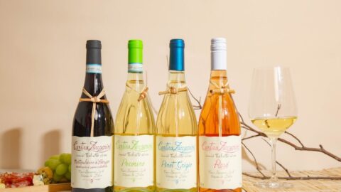 vinhos cantina zaccagnini bodegas wine