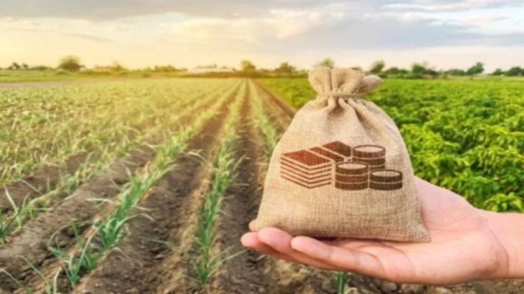 divida rural direitos produtores