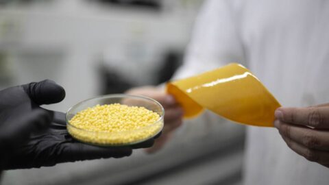 embrapa fertilizante inovação
