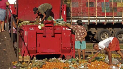 fome segurança alimentar no Brasil
