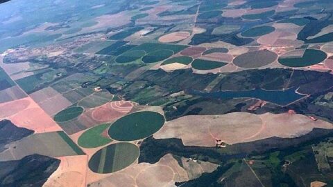matopiba agroindustria integraçao