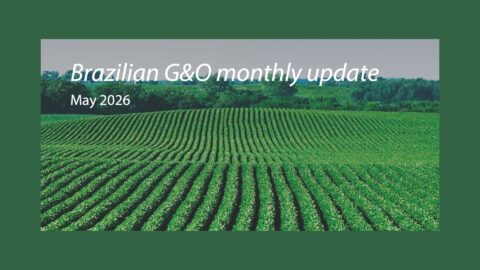 rabobank update soja e milho