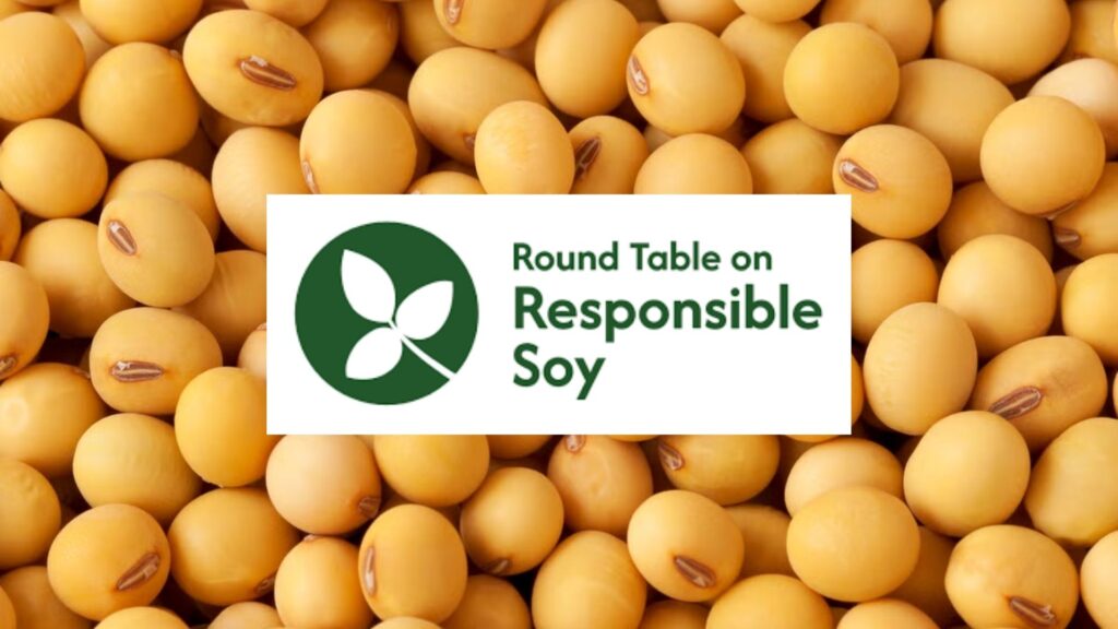 round table on responsible soy