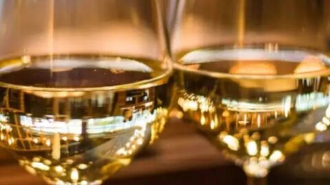vinho branco inverno Brasil