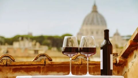 wine south america vinhos italia