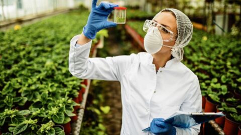CRISPR GENOMA AGTECH