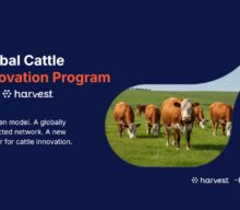 The Yield Lab Institute lança plataforma global de inovação para a pecuária bovina
