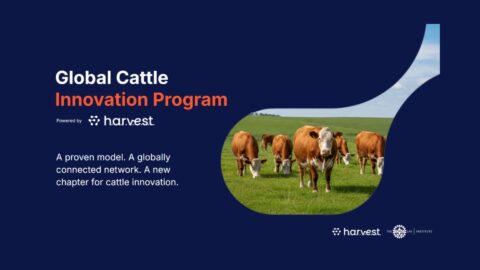 Yield Lab Global Cattle plataforma inovação