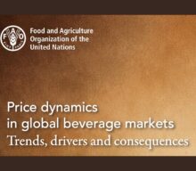 Relatório da FAO revela por que café, cacau e chá ficam tão voláteis no mercado global