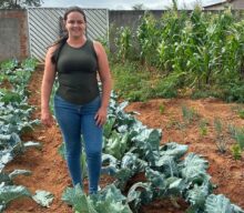 Com 15 milhões de produtores rurais, agroecologia ganha força e transforma a agricultura familiar brasileira