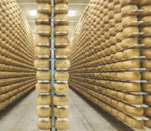 O segredo do Gran Formaggio Rar: longa maturação, cristais de tirosina e naturalmente zero lactose