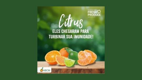 IFPA frutas cítricas