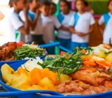 Merenda escolar pode impulsionar produção sustentável da agricultura familiar, aponta estudo