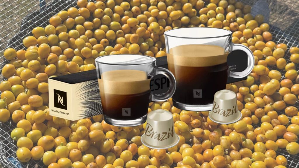 Nespresso Fazenda Cachoeira da Grama