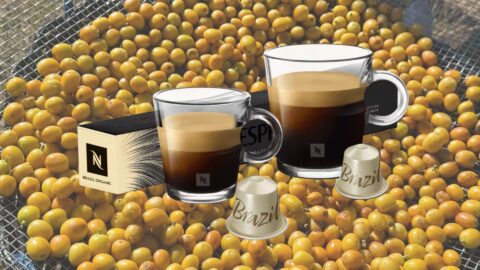 Nespresso Fazenda Cachoeira da Grama