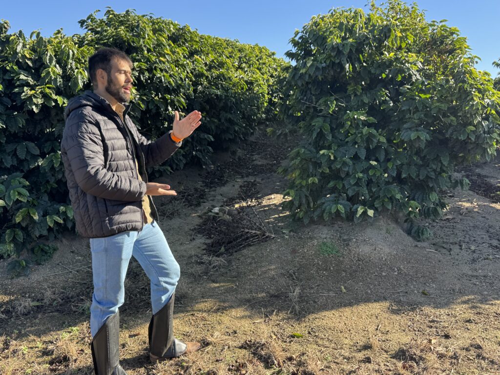 Nespresso Fazenda Cachoeira da Grama