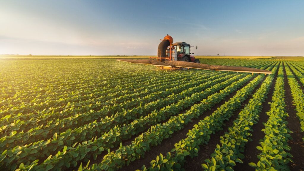 Agro Investimento Juliana De Podestá