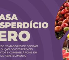 CEASA Desperdício Zero: plano quer multiplicar por sete a redistribuição de alimentos no Brasil