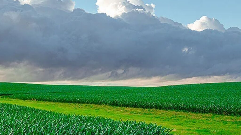 credito agro el niño