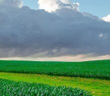 Setor de crédito se prepara para o impacto do El Niño no agro