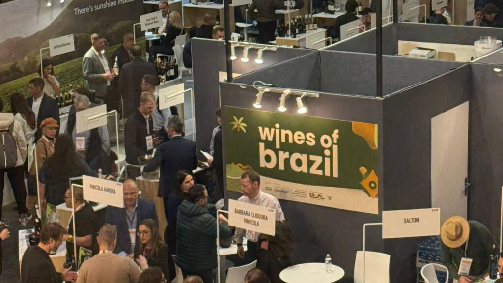 wines of brazil exportaçao de vinhos