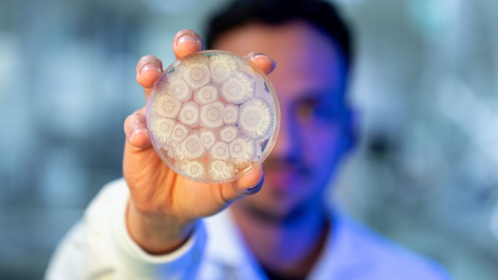 Kopert biologicos biosinsumos