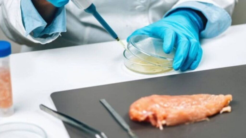 biotecnologia nutrição de precisão jbs