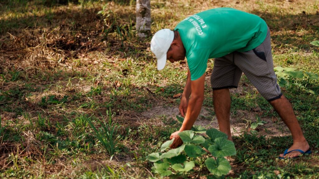 Comida do Amanhã PNAE Agroecologico