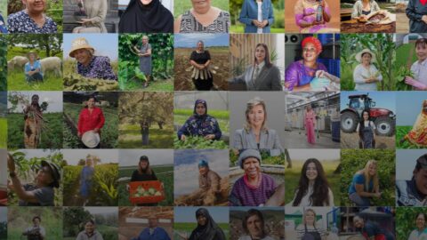 FAO homenageia 100 mulheres que transformam os sistemas agroalimentares pelo mundo