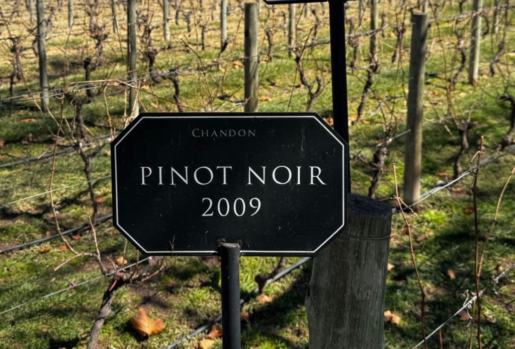 Chandon pinot noir
