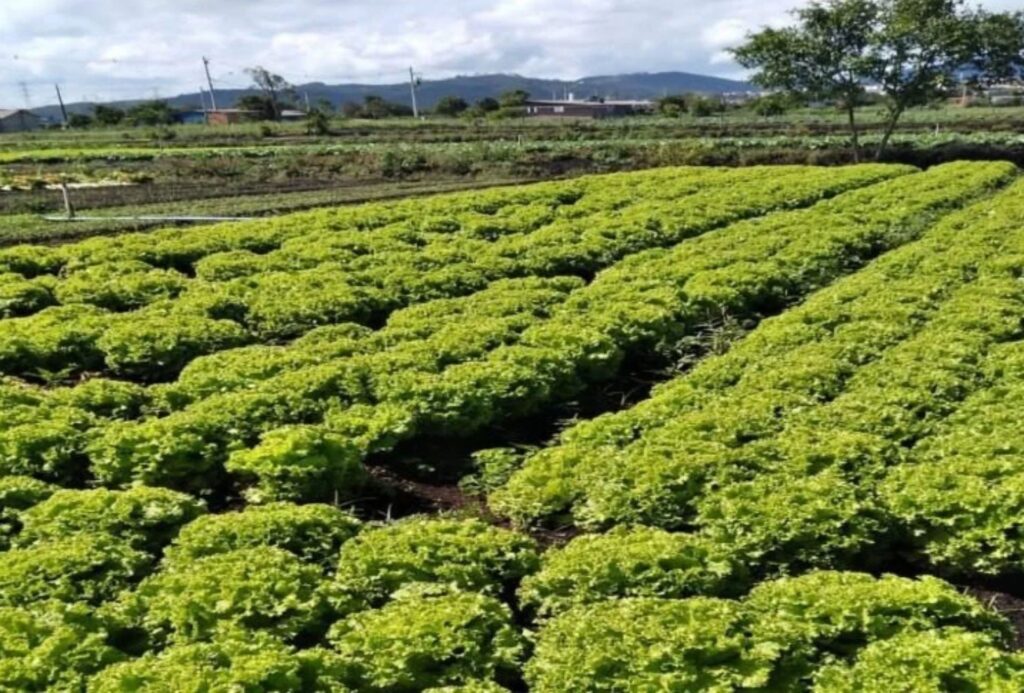 Credito FEAP Agricultor São Paulo