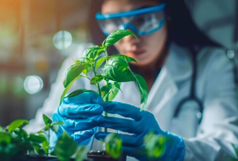 CropData_CropLife Brasil_biotecn ologia