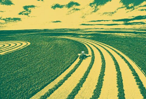 anbima fiagro agro