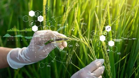 Do vôlei em Iowa ao etanol argentino: biotecnologia precisa falar de gente, defendem especialistas no GAFFFF