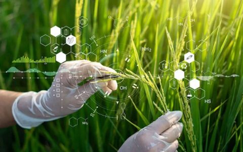 agtech biotech gaffff